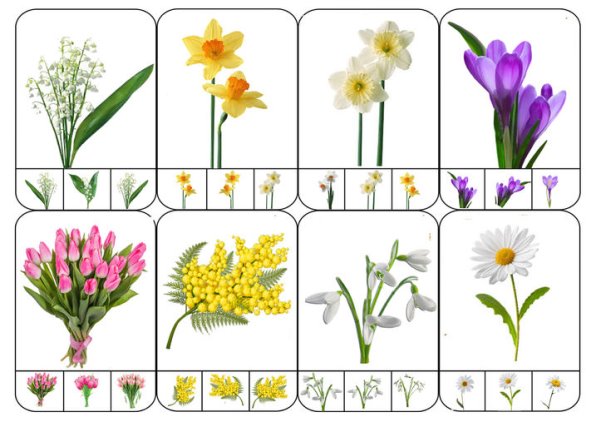 Логічна гра з прищіпками "Весняні квіти-знайди таку ж картинку"